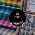 100 Pencils - Bulk Pack